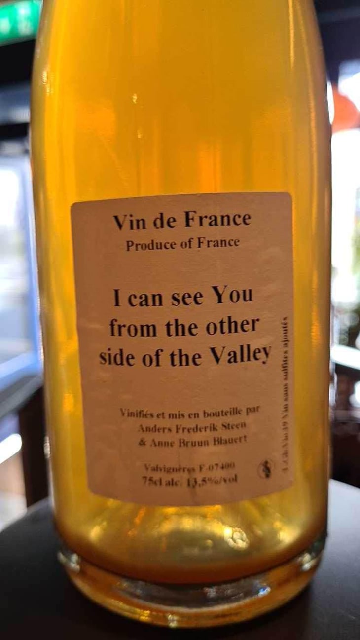 I can see You from the other side of the Valley - Anders Frederik Steen & Anne Bruun Blauert - Anders Frederik Steen & Anne Bruun Blauert 