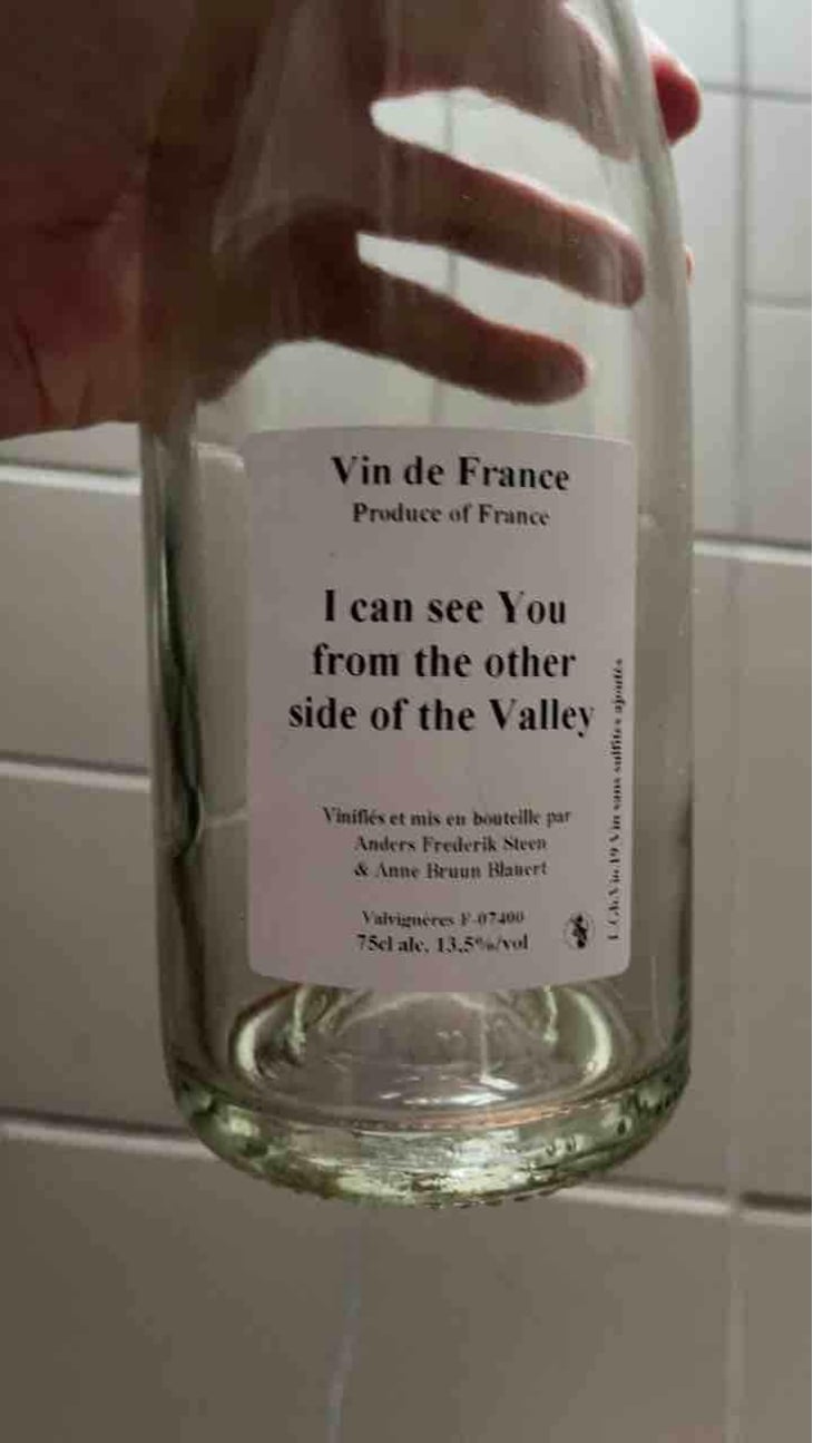 I can see You from the other side of the Valley - Anders Frederik Steen & Anne Bruun Blauert - Anders Frederik Steen & Anne Bruun Blauert 