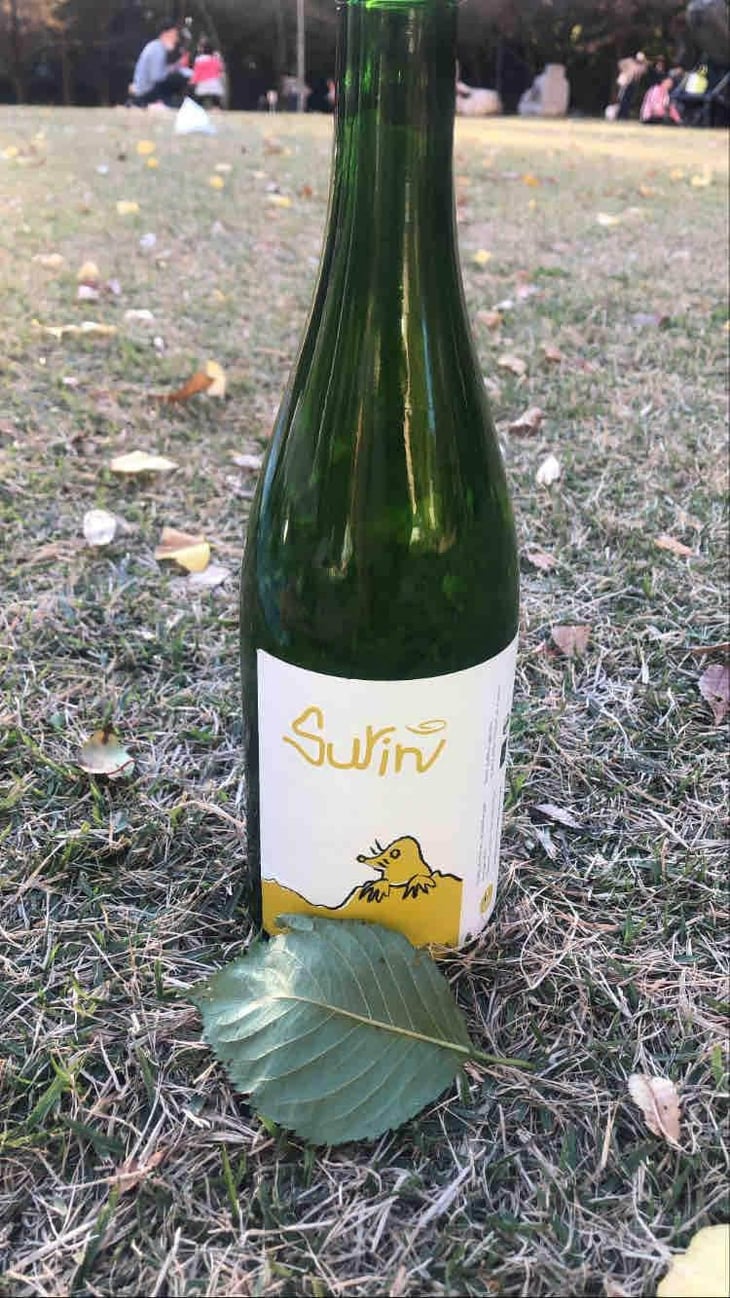 Surin - Domaine La Taupe - Nicole Messer & Bertjan Mol 