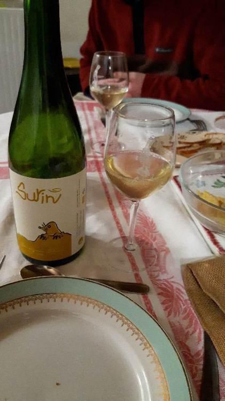 Surin - Domaine La Taupe - Nicole Messer & Bertjan Mol 
