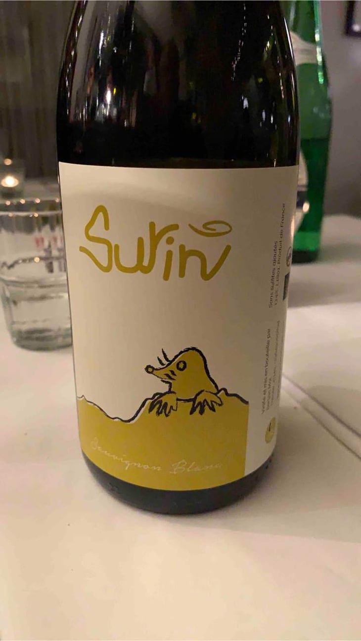 Surin - Domaine La Taupe - Nicole Messer & Bertjan Mol 