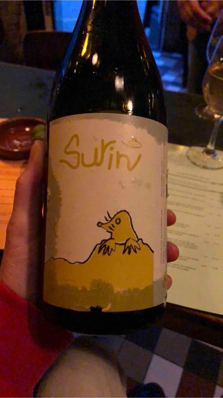 Surin - Domaine La Taupe - Nicole Messer & Bertjan Mol 