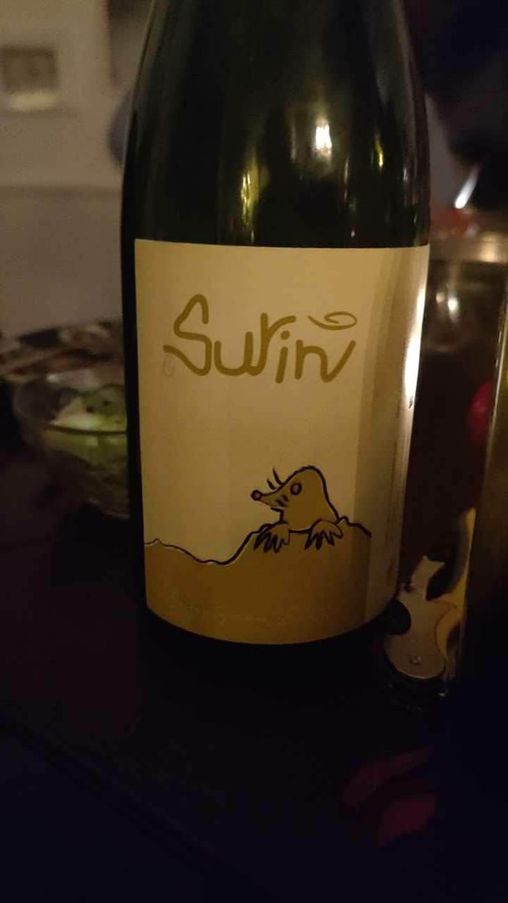 Surin - Domaine La Taupe - Nicole Messer & Bertjan Mol 