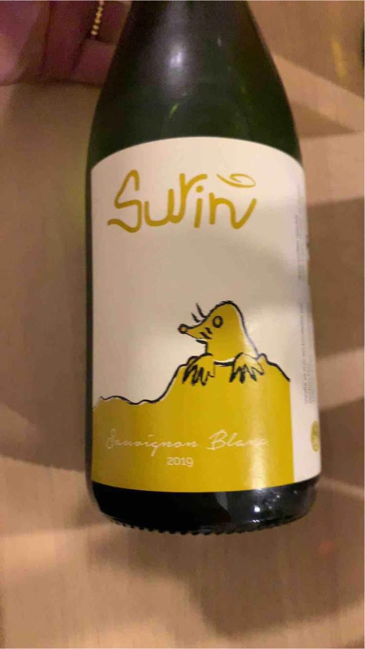 Surin - Domaine La Taupe - Nicole Messer & Bertjan Mol 