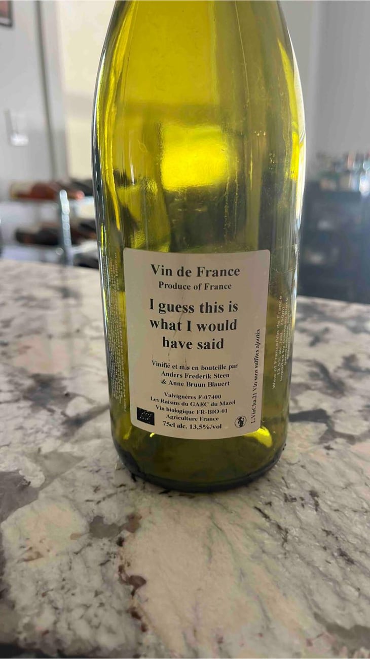 I Guess This Is What I Would Have Said - Anders Frederik Steen & Anne Bruun Blauert - Anders Frederik Steen & Anne Bruun Blauert 