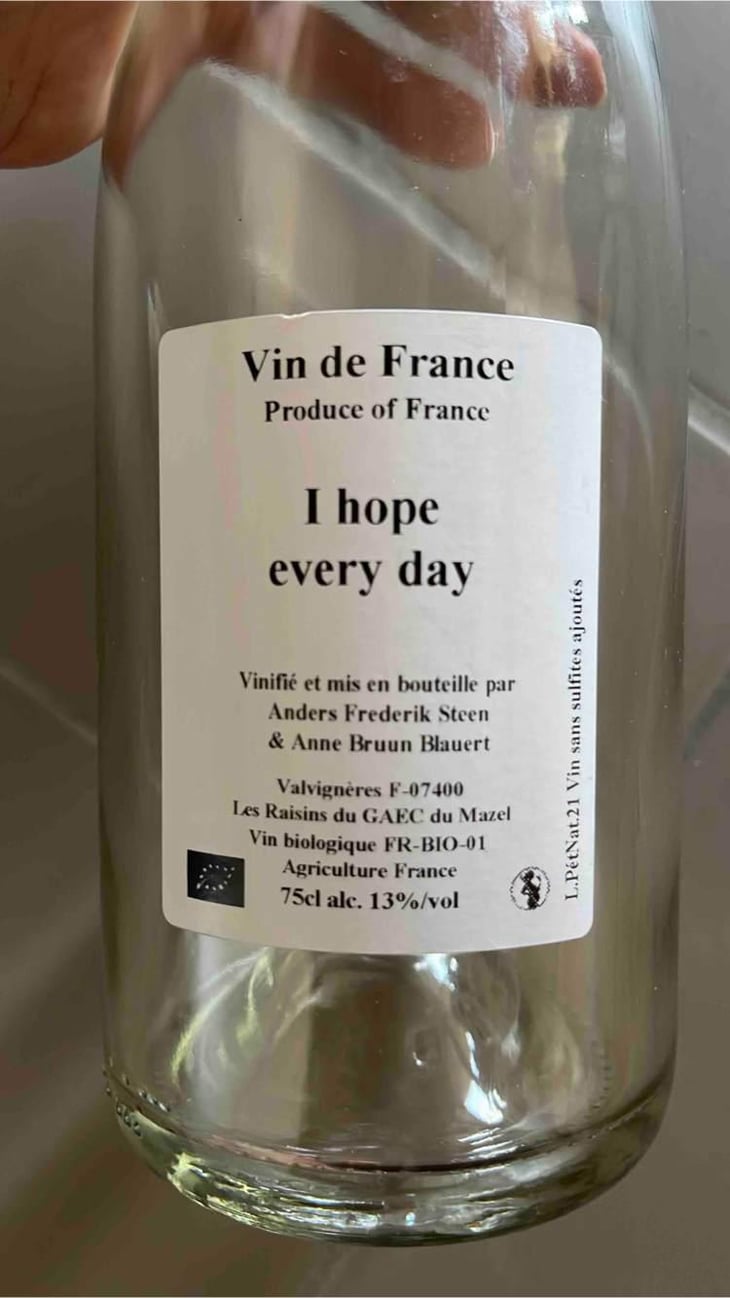 I Hope Everyday - Anders Frederik Steen & Anne Bruun Blauert - Anders Frederik Steen & Anne Bruun Blauert 
