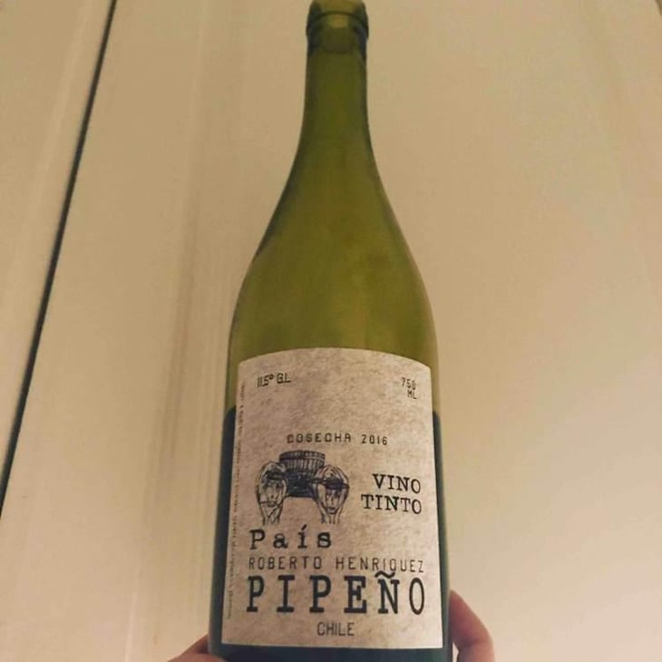Pipeño - Roberto Henriquez - Roberto Henriquez 