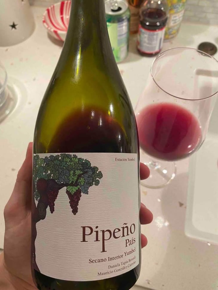 Pipeño - Agricola Estación Yumbel - Mauricio Gonzalez Carreño 