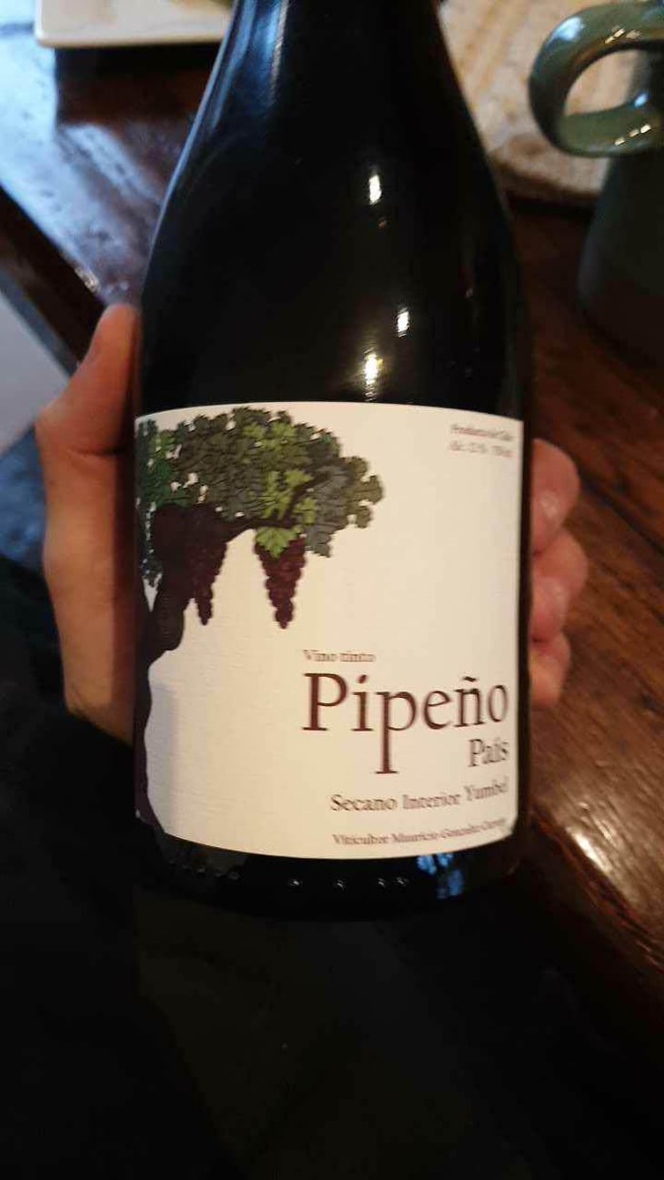 Pipeño - Cacique Maravilla - Manuel Moraga 