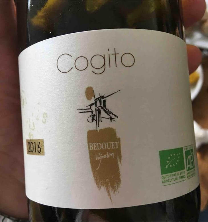 Cogito - Bedouet Vigneron - Bedouet 