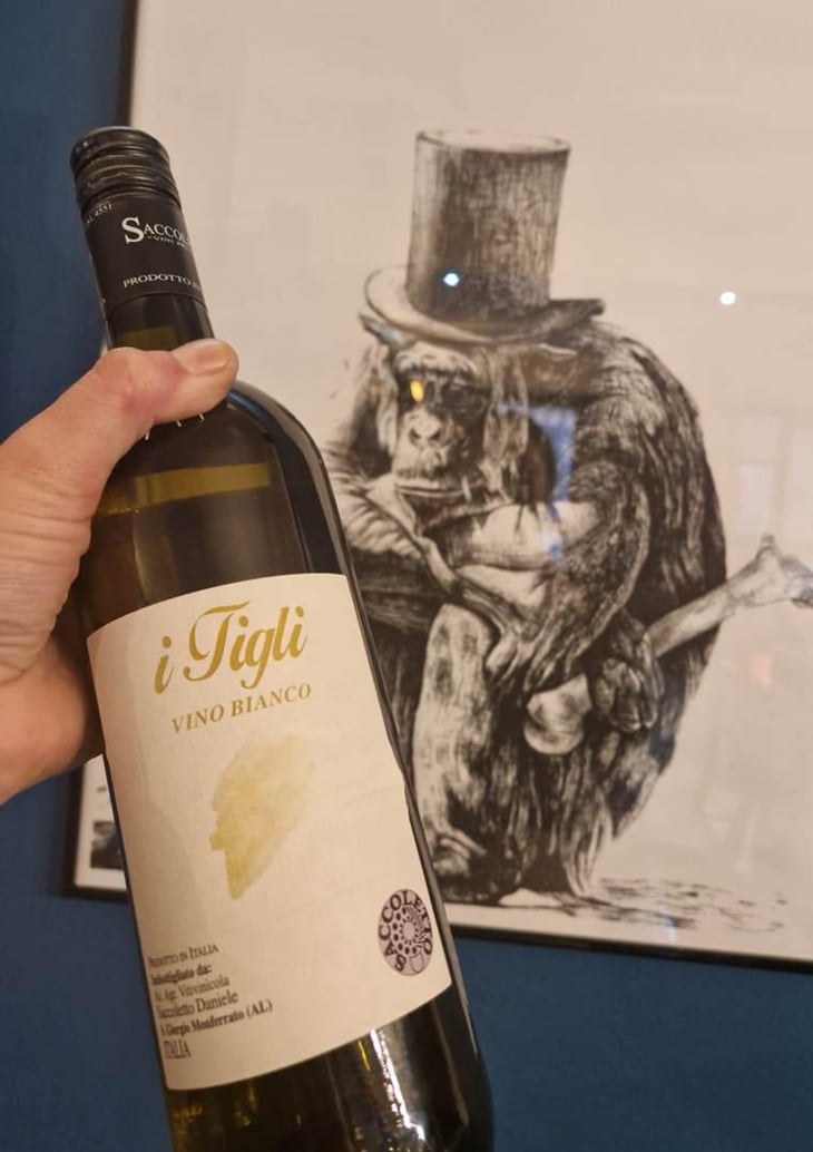 I TIGLI - Saccoletto Vini - Daniele Saccoletto 