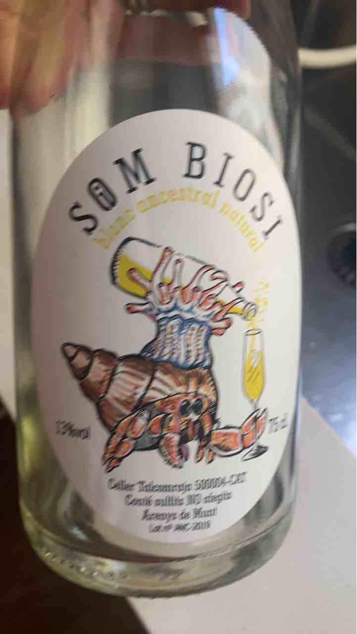 Som Biosi - Celler Talcomraja - Joan Munich Arranz 