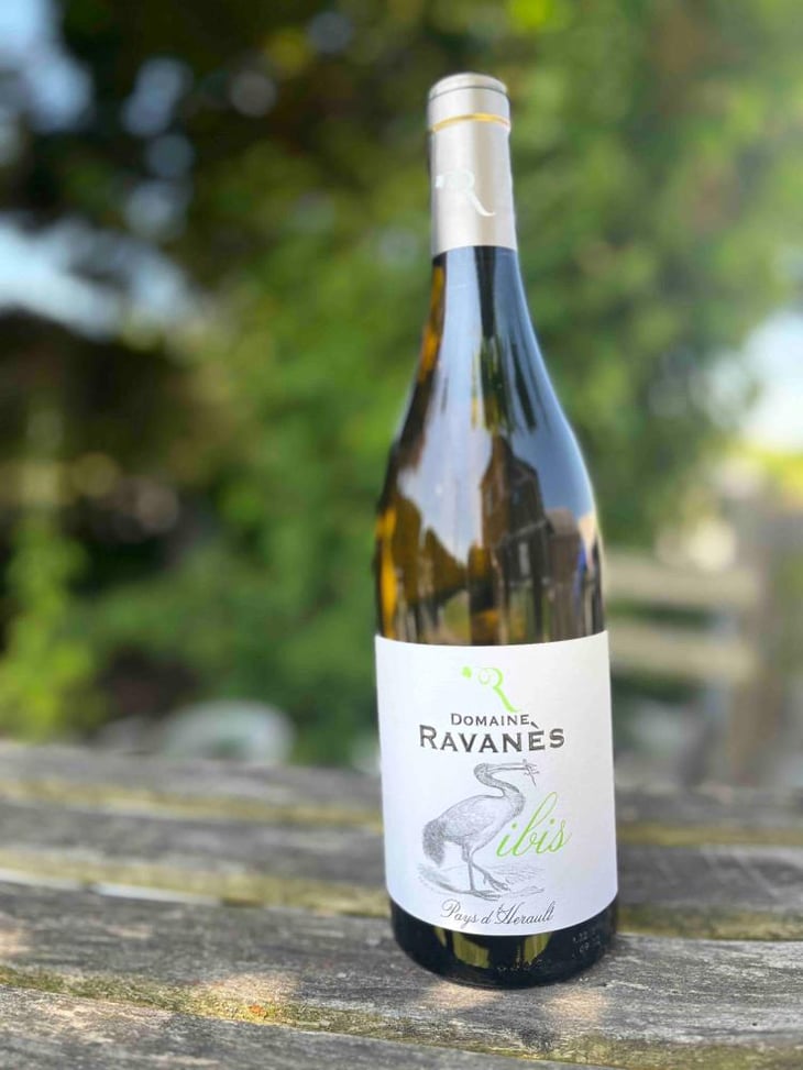 Ibis - Domaine De Ravanès - Marc, Axel et David Benin -2021