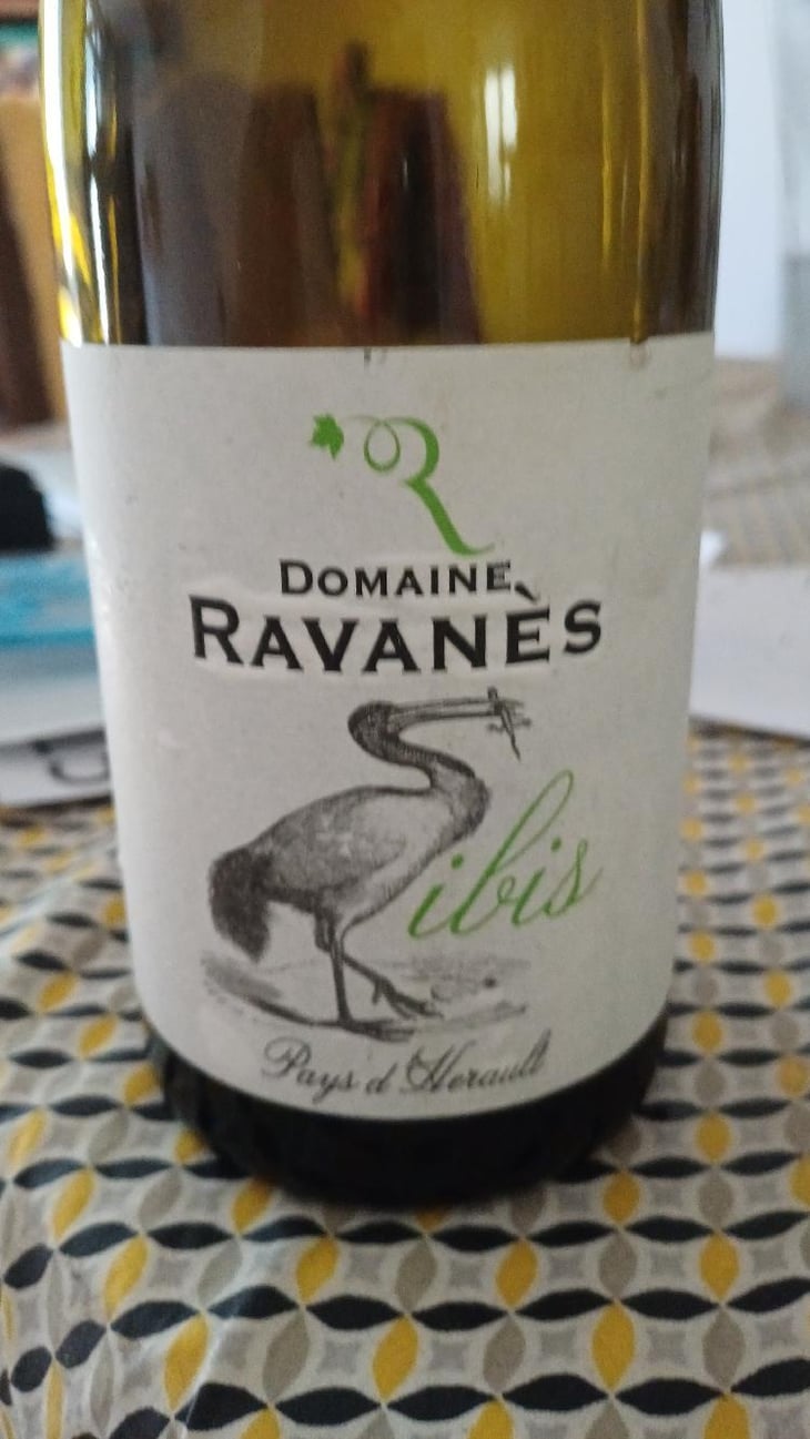 Ibis - Domaine De Ravanès - Marc, Axel et David Benin -2021