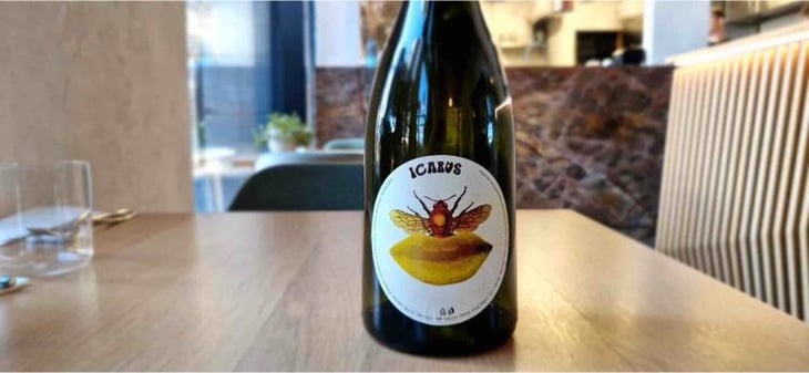 Icarus - Vino Vdovjak - Matus Vdovjak -2021