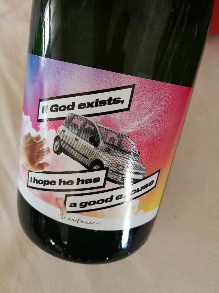If God Exists, I Hope He Has A Good Excuse - Milan Nestarec - Milan Nestarec 