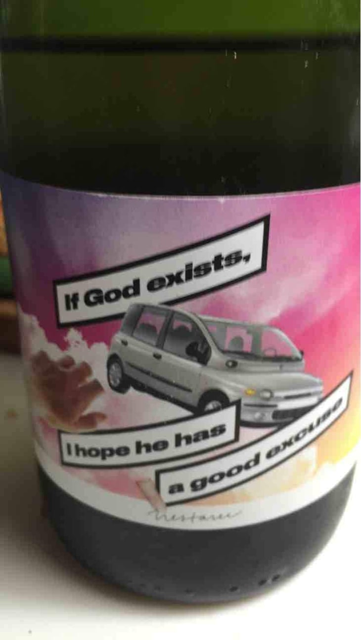 If God Exists, I Hope He Has A Good Excuse - Milan Nestarec - Milan Nestarec 