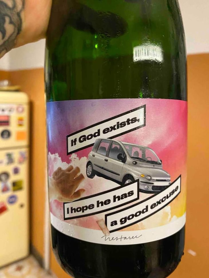 If God Exists, I Hope He Has A Good Excuse - Milan Nestarec - Milan Nestarec 