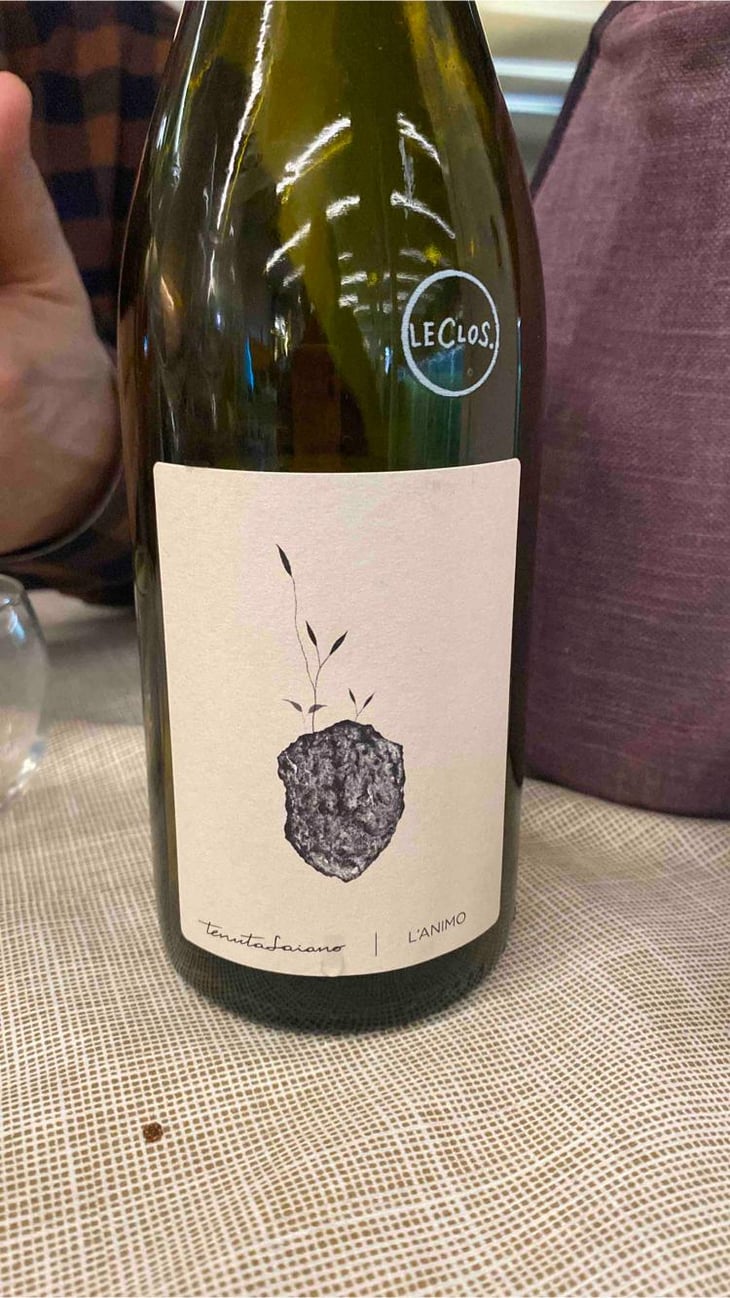 Igt Rubicone Grechetto gentile - Tenuta Saiano - Manlio Maggioli, Alex Fulvi -2022