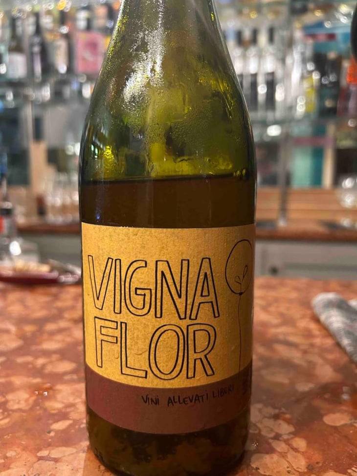 Il Battito Del Sole - Vigna Flor - Davide Boldrin & Francesca Gozzo 