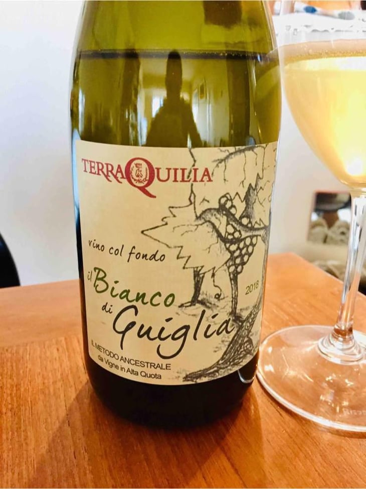 il Bianco di Guiglia - TerraQuilia Società Agricola S.S. - Romano & Giorgia Mattioli 