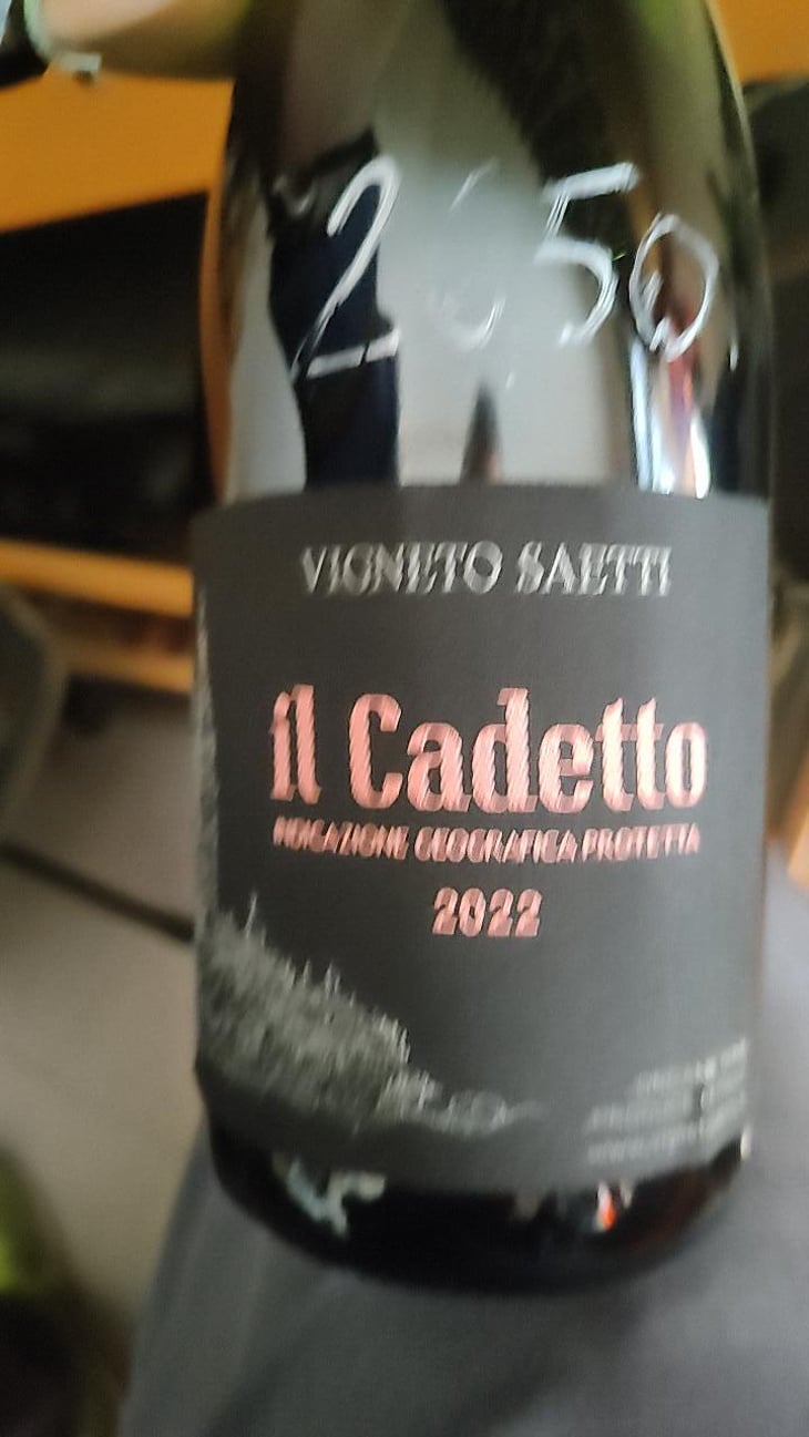 Il Cadetto - Vigneto Saetti - Luciano & Sara Saetti 