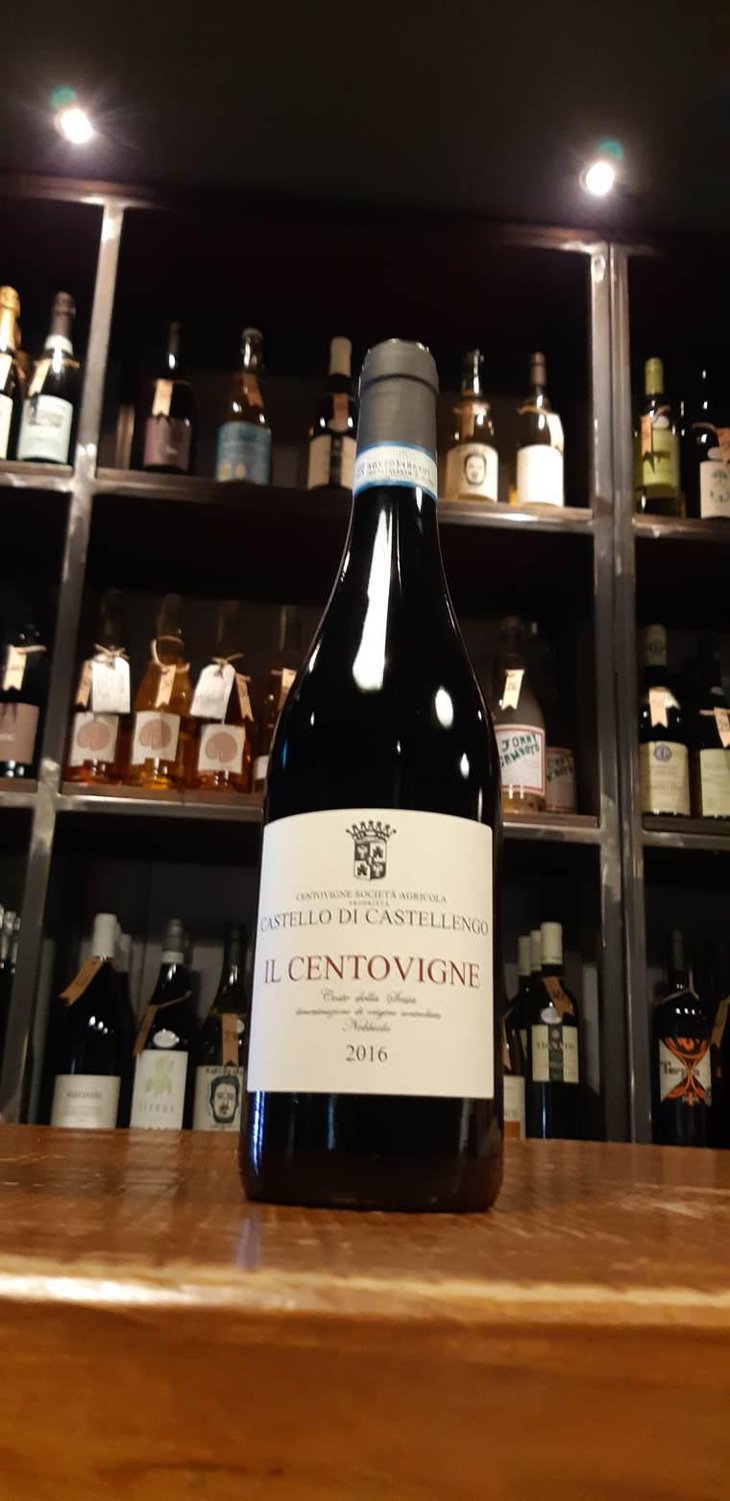 Il centovigne - Centovigne - Magda e Alessandro Ciccioni -2016