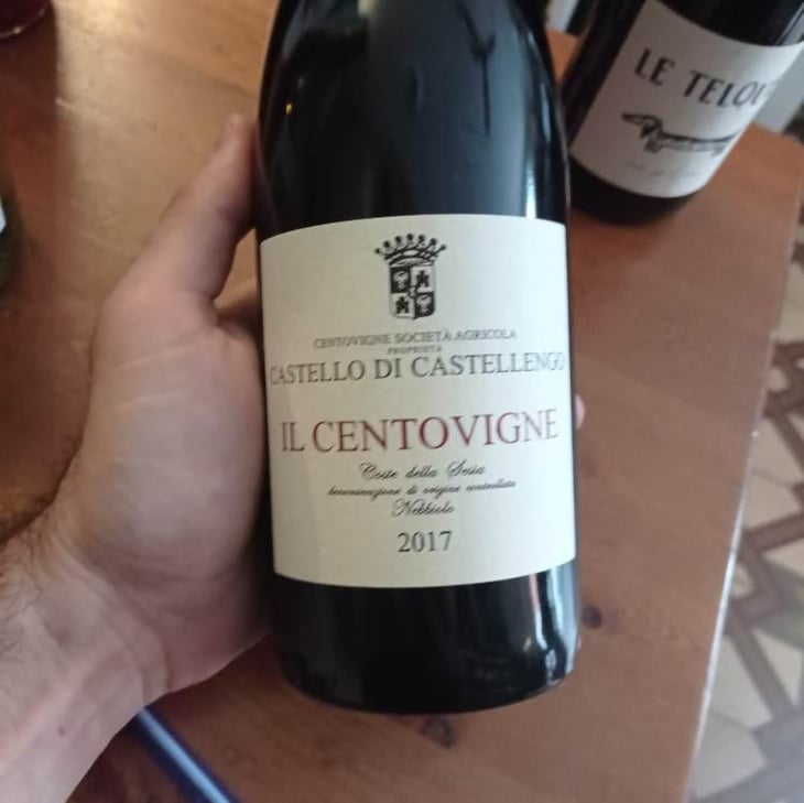 Il centovigne - Centovigne - Magda e Alessandro Ciccioni -2016