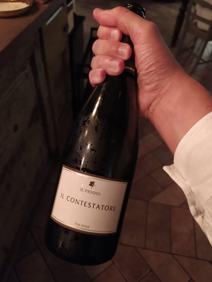 Il Contestatore - Il Pendio - Michele Loda 