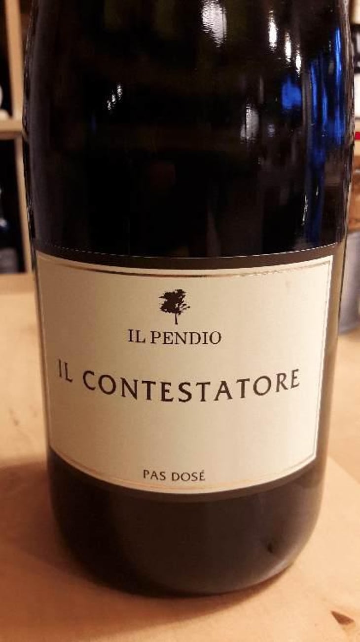 Il Contestatore - Il Pendio - Michele Loda 