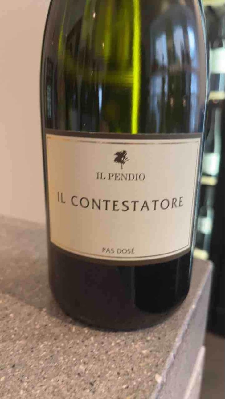 Il Contestatore - Il Pendio - Michele Loda 