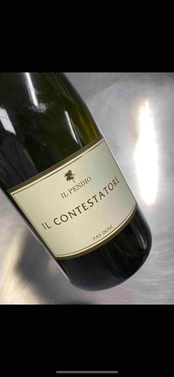 Il Contestatore - Il Pendio - Michele Loda 