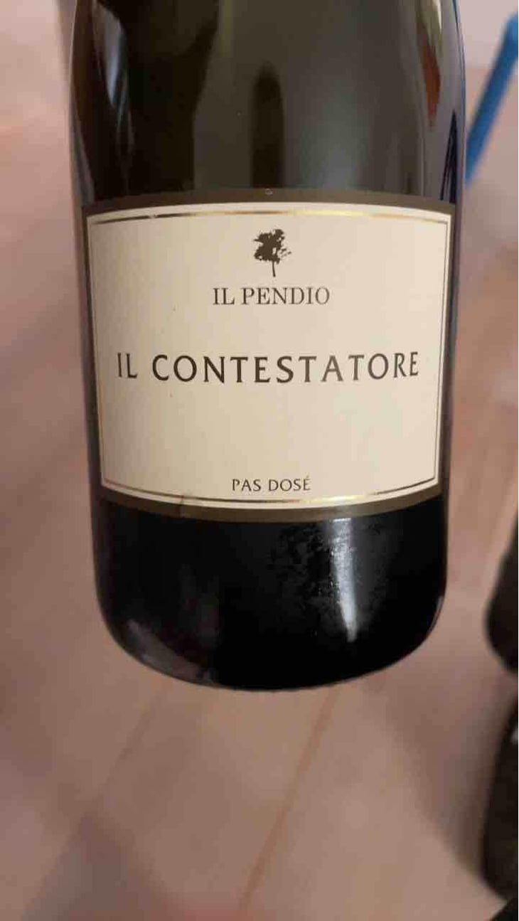 Il Contestatore - Il Pendio - Michele Loda 