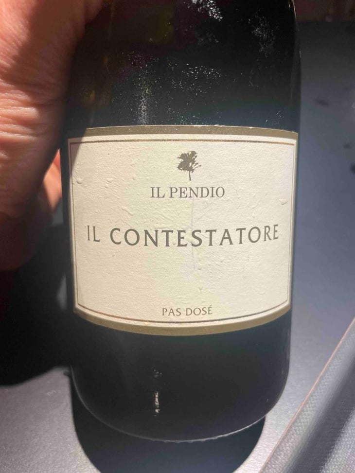 Il Contestatore - Il Pendio - Michele Loda 
