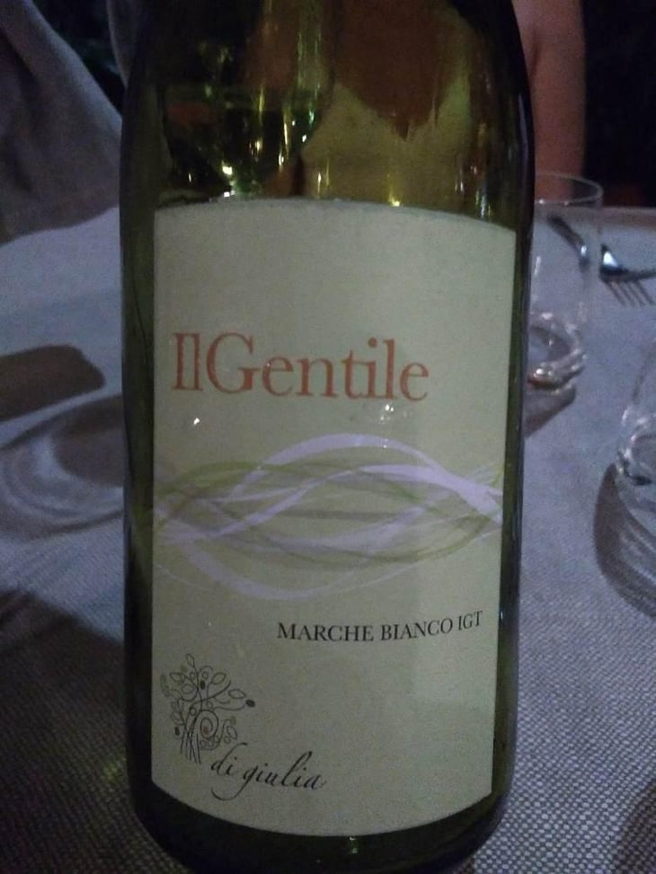 Il Gentile - Di Giulia - Giulia Fiorentini 