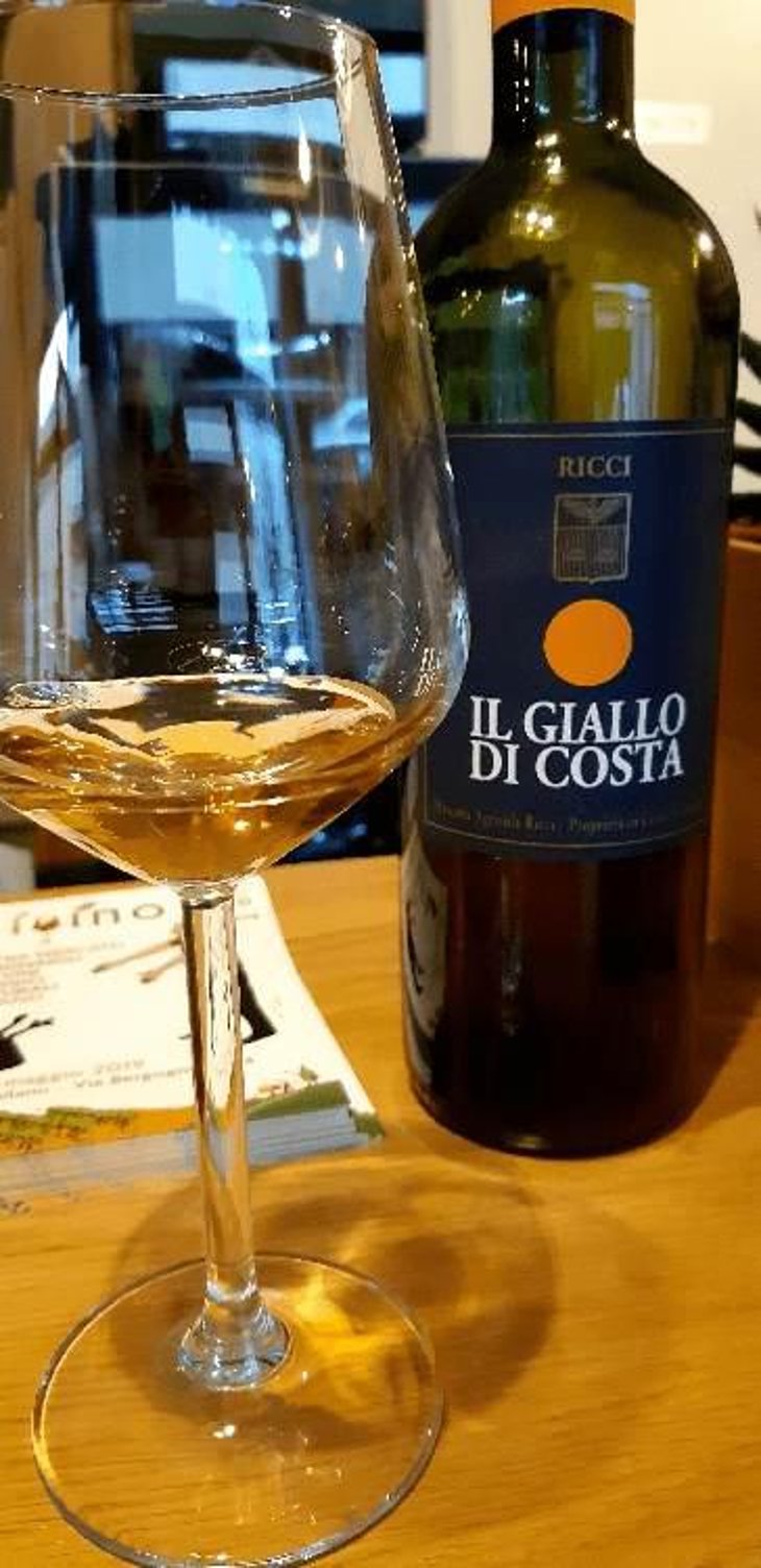 Il Giallo di Costa - Azienda Agricola Ricci Carlo Daniele - Daniele Ricci 