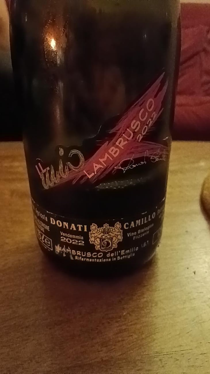 Il Mio Lambrusco - Camillo Donati - Camillo Donati 