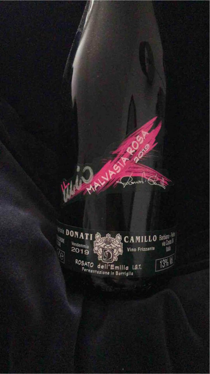 Il Mio Lambrusco - Camillo Donati - Camillo Donati 