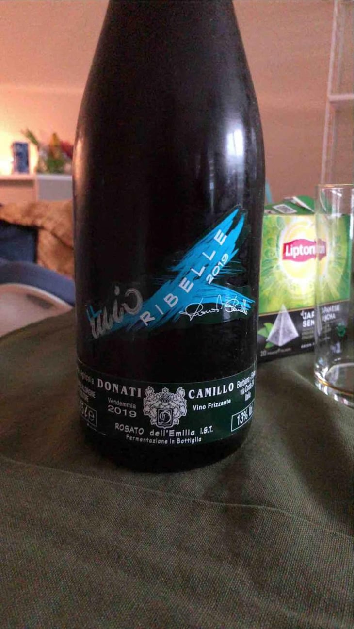 Il Mio Lambrusco - Camillo Donati - Camillo Donati 
