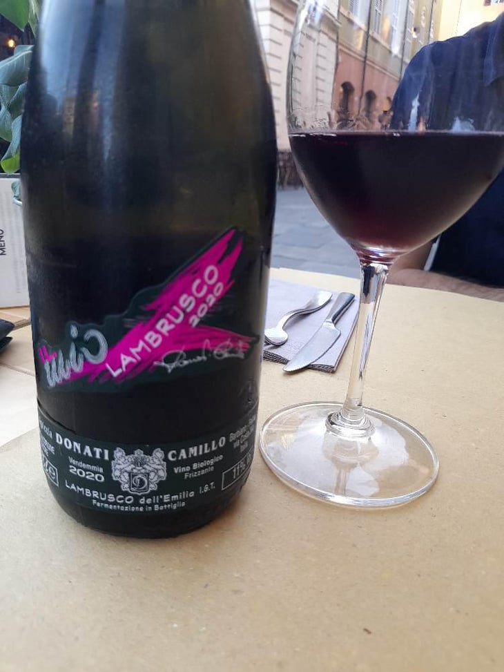 Il Mio Lambrusco - Camillo Donati - Camillo Donati 