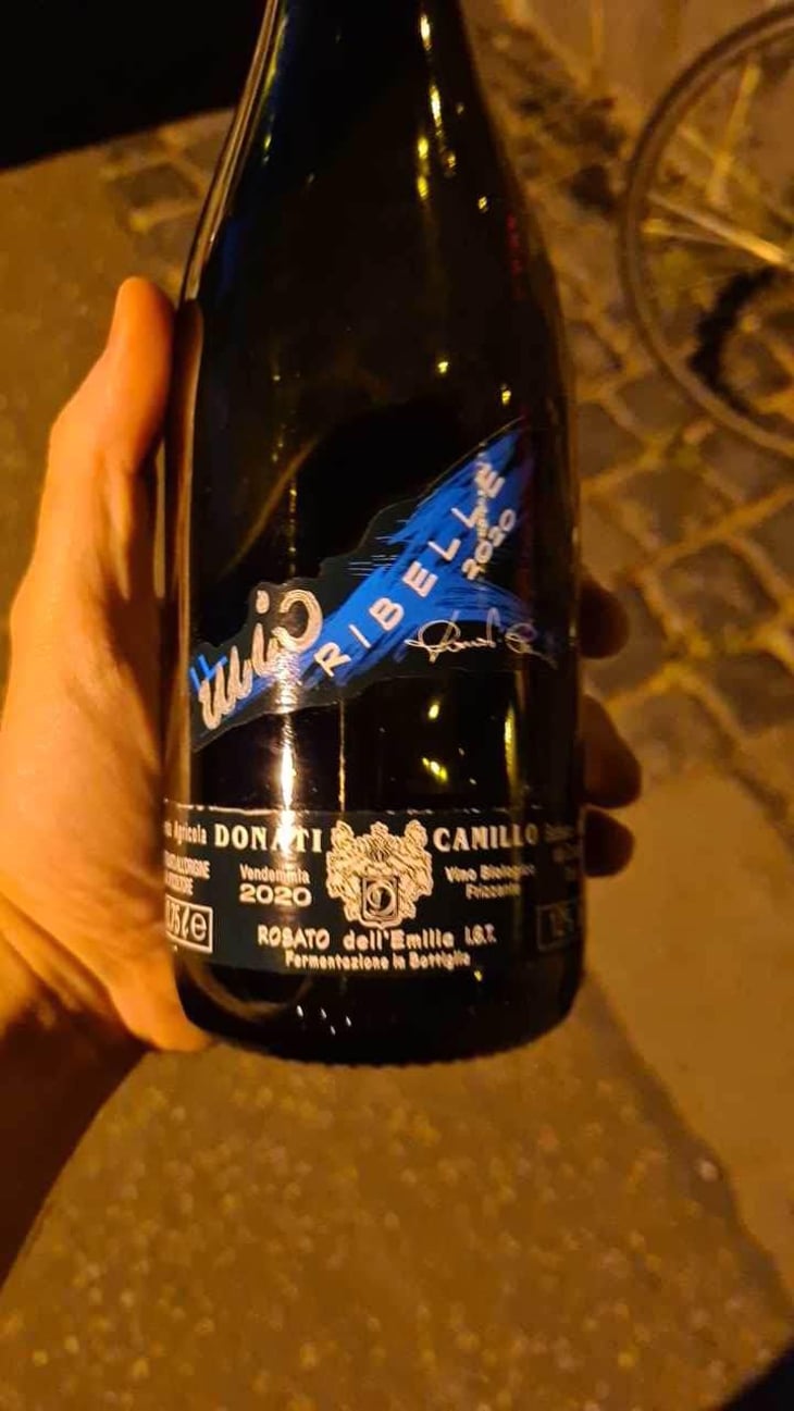 Il Mio Lambrusco - Camillo Donati - Camillo Donati 
