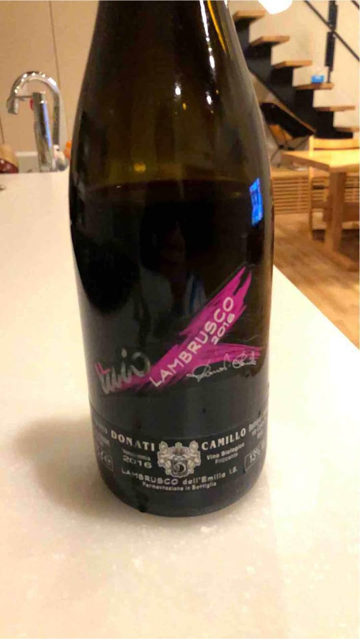 Il Mio Lambrusco - Camillo Donati - Camillo Donati 
