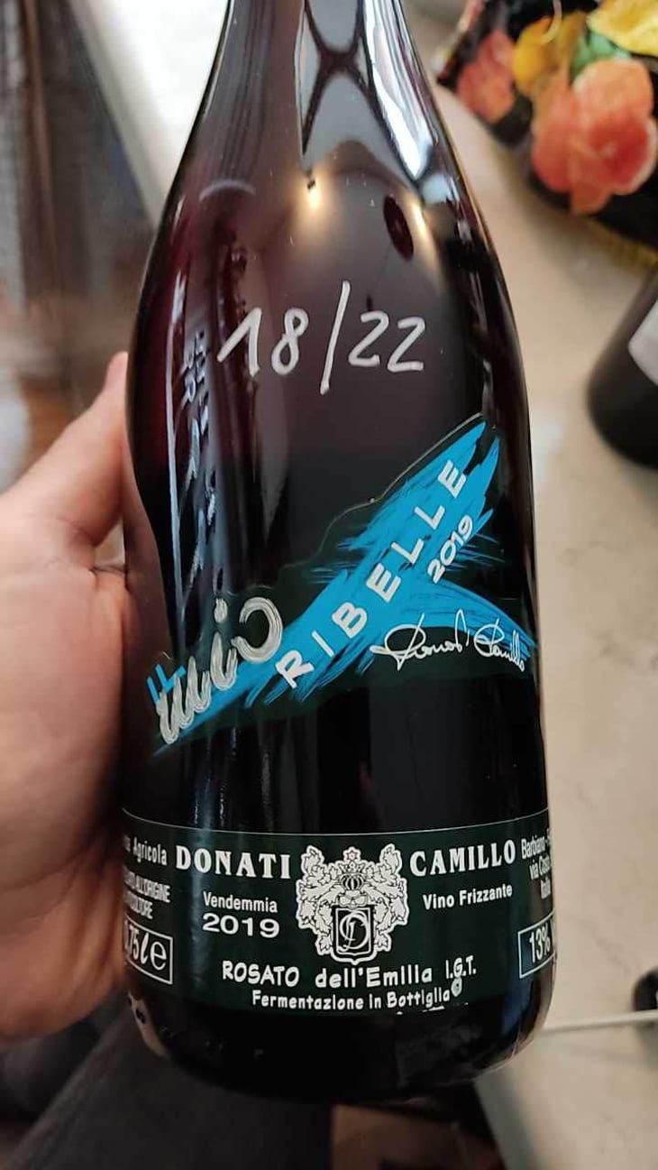 Il Mio Lambrusco - Camillo Donati - Camillo Donati 