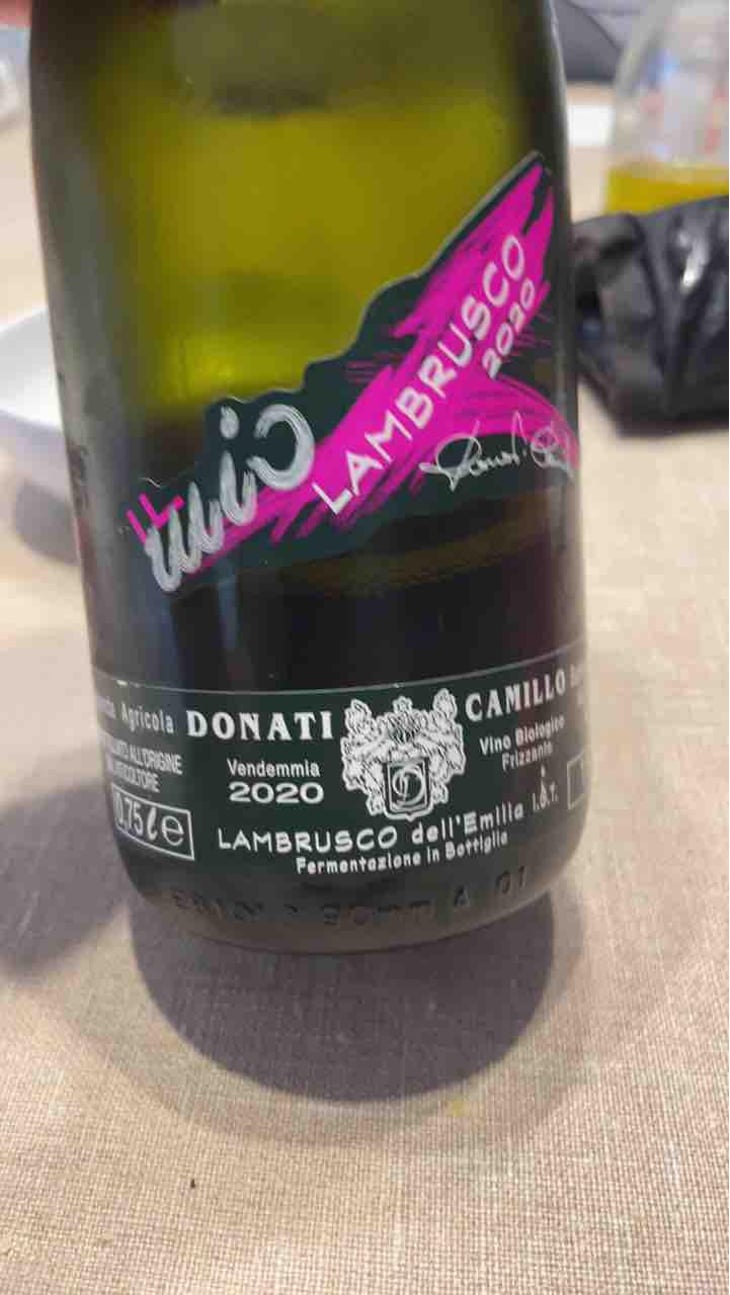 Il Mio Lambrusco - Camillo Donati - Camillo Donati 