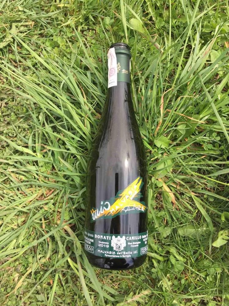 Il Mio Malvasia - Camillo Donati - Camillo Donati 