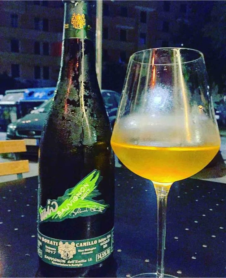 Il Mio Sauvignon - Camillo Donati - Camillo Donati 