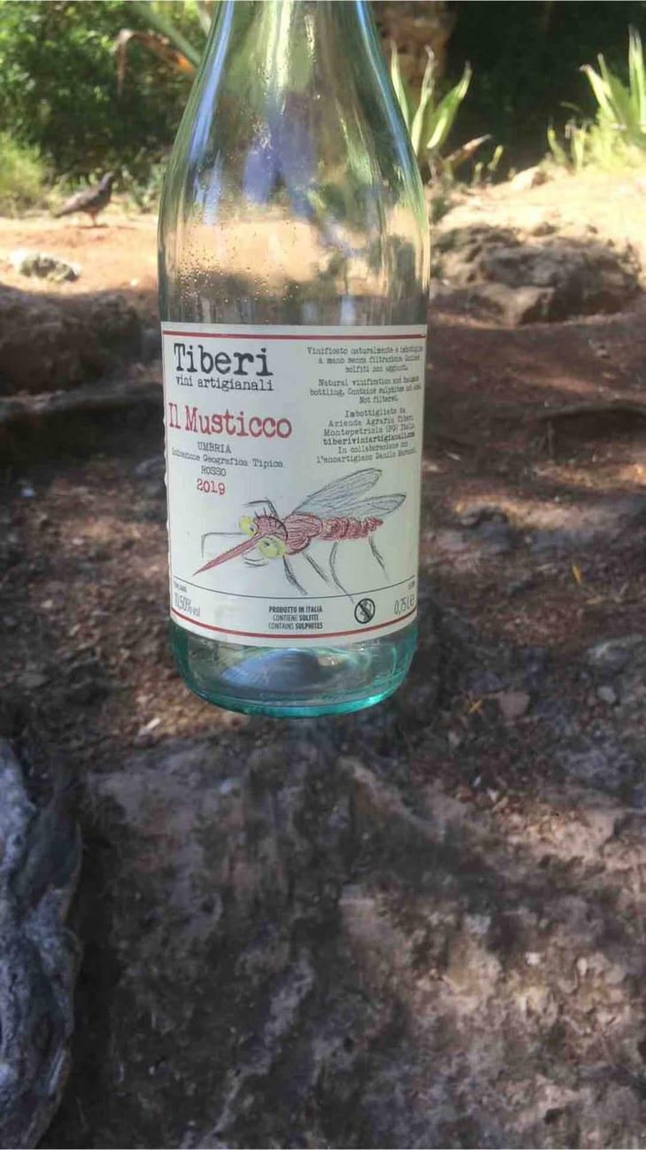 Il Musticco - Tiberi Vini Artigianali - Cesare, Piero & Federico Tiberi 