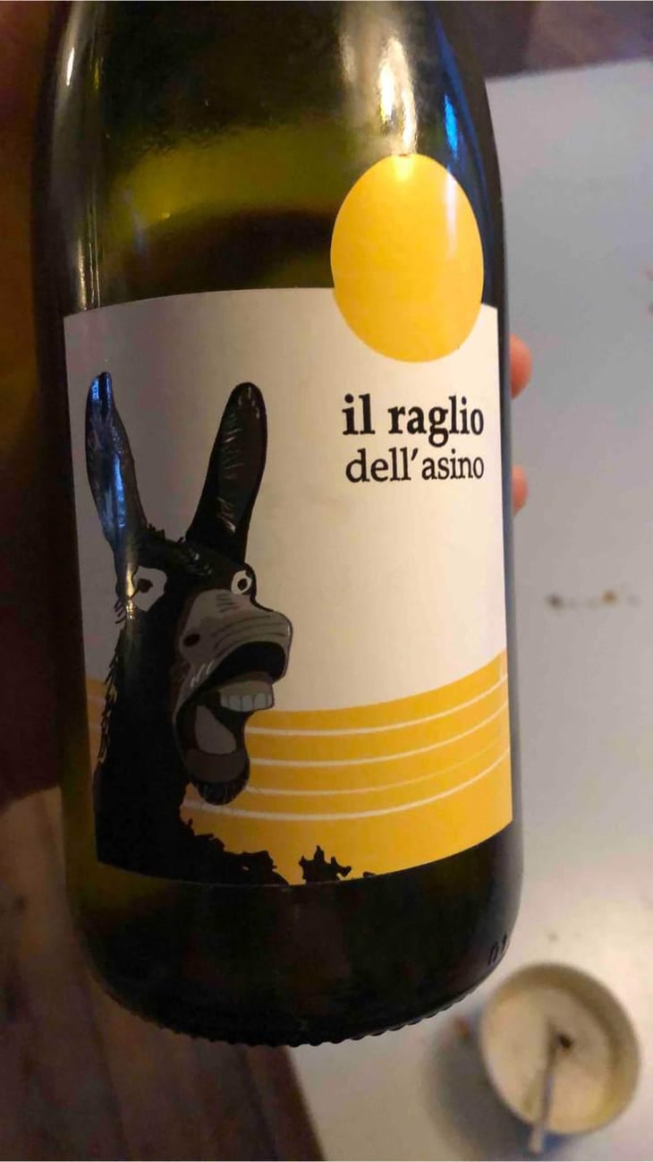 Il Raglio Dell’asino - L'Acino - Dino Briglio Nigro 