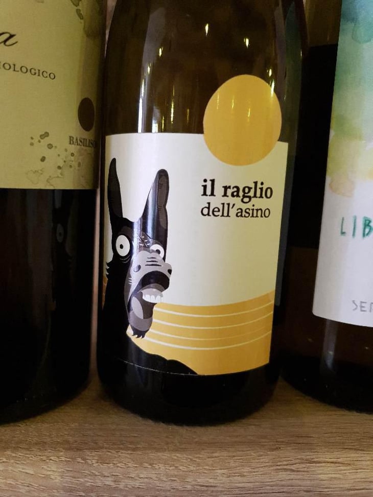 Il Raglio Dell’asino - L'Acino - Dino Briglio Nigro 