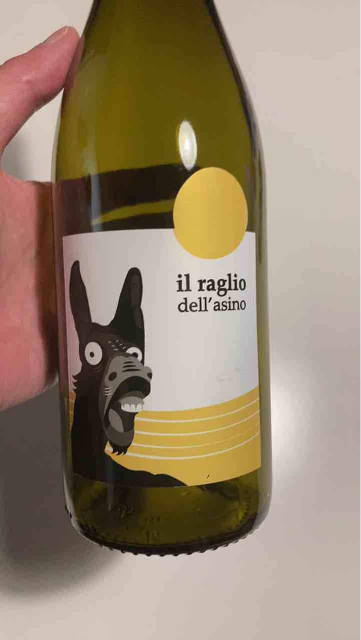 Il Raglio Dell’asino - L'Acino - Dino Briglio Nigro 
